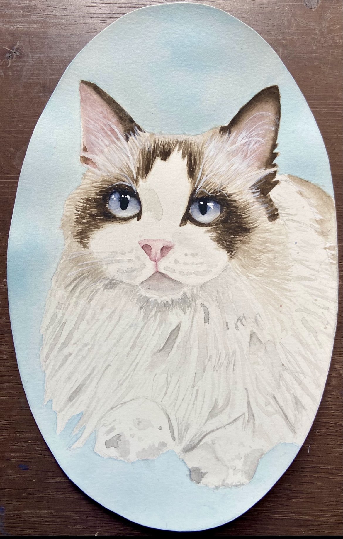 Watercolor painting of a long-haired cat with blue eyes on a light blue oval background.