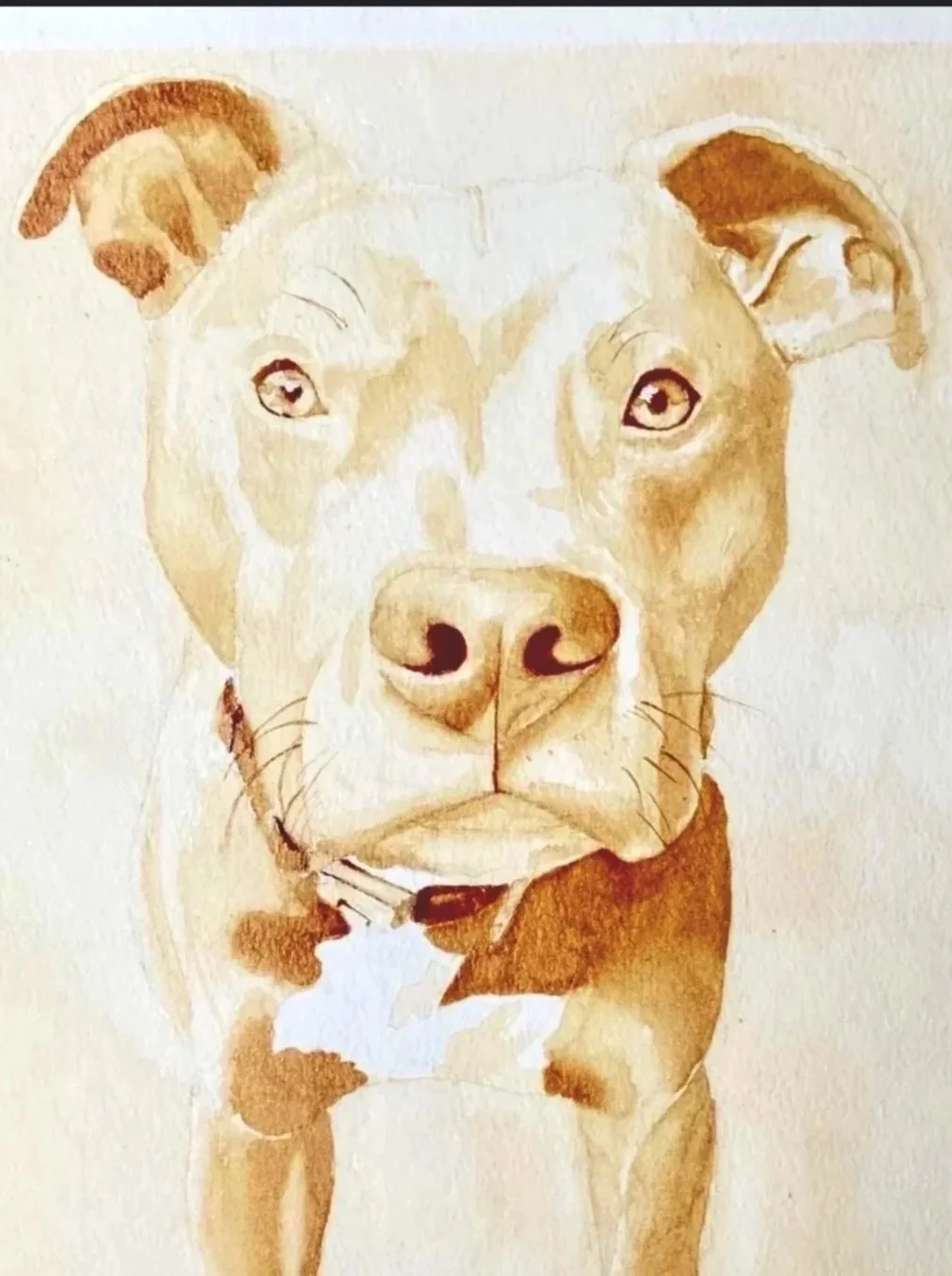 Coffee painting of a brown and white dog with a solemn expression, gazing forward with a slightly tilted head, shown from the shoulders up.
