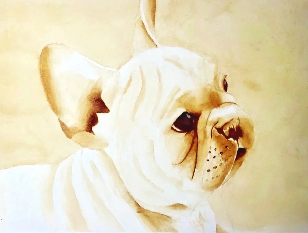 Coffee painting of a French bulldog puppy with a wrinkled face and large ears against a light neutral background.
