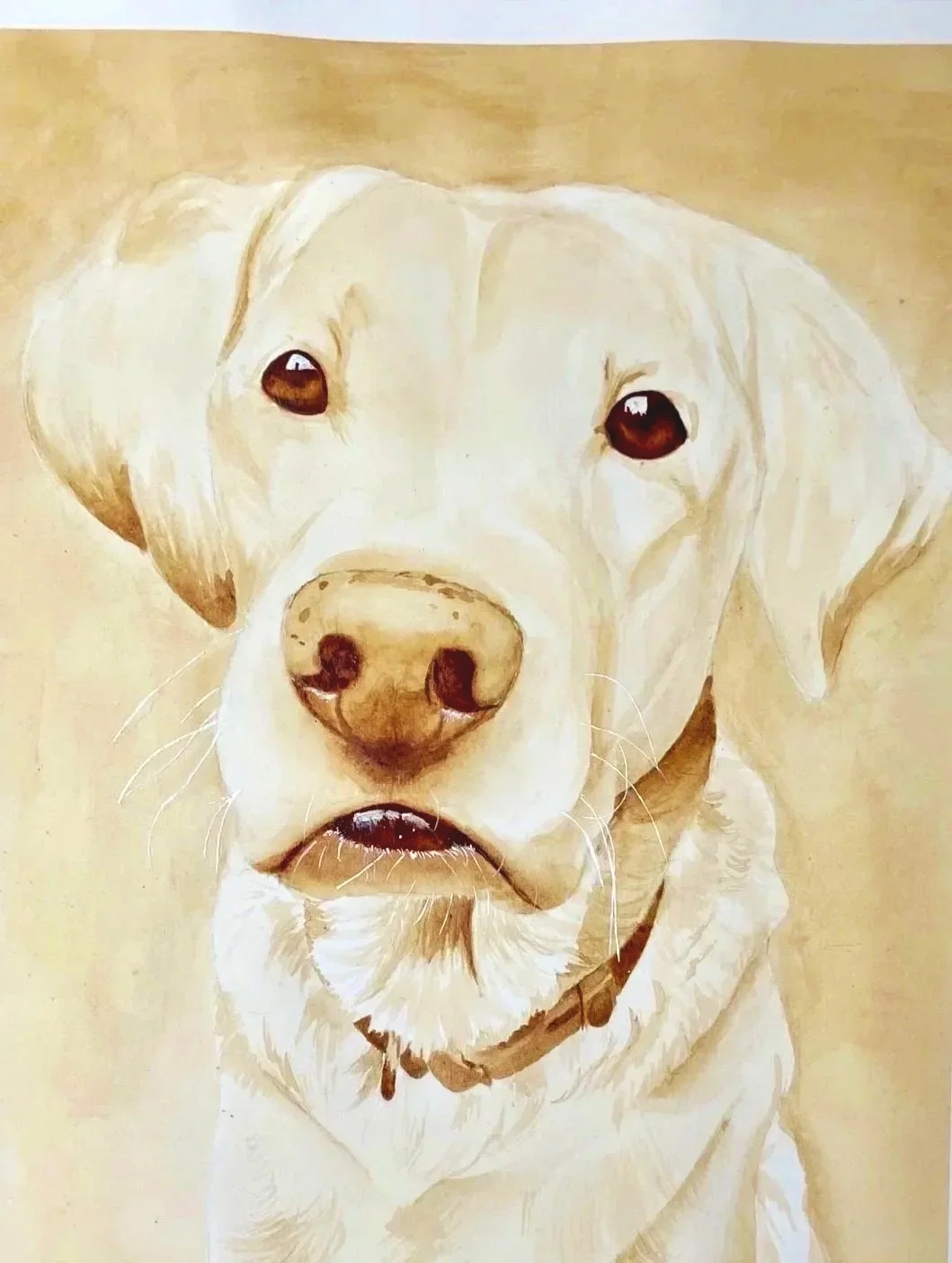 Coffee painting of a Labrador Retriever with light fur, dark eyes, and a brown collar.