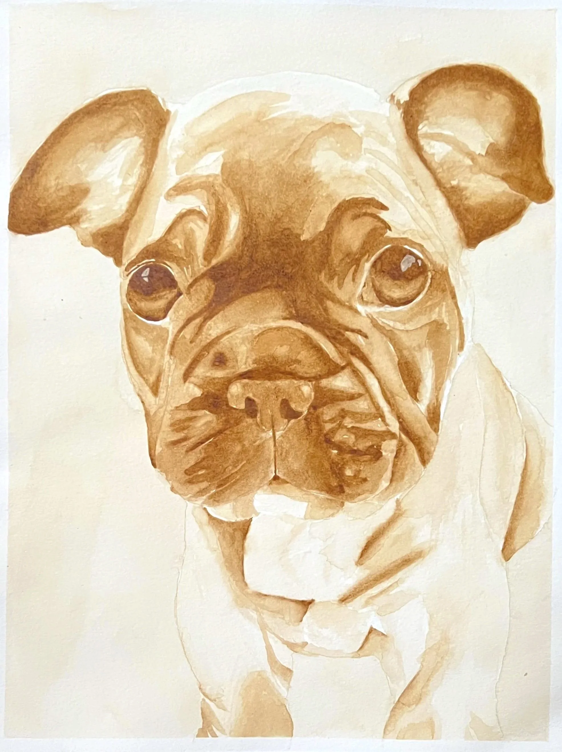 Coffee painting of a French Bulldog puppy with large ears and expressive eyes, mostly in shades of brown and beige.