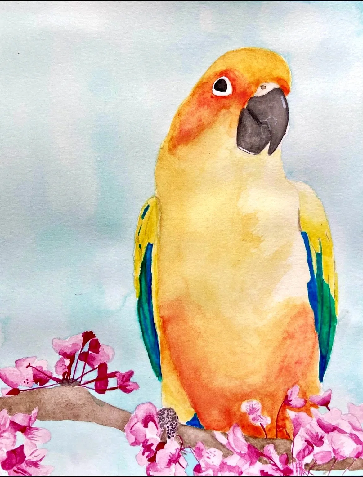 Watercolor painting of a yellow, orange, and green parakeet perched on a branch with pink blossoms against a light blue background.
