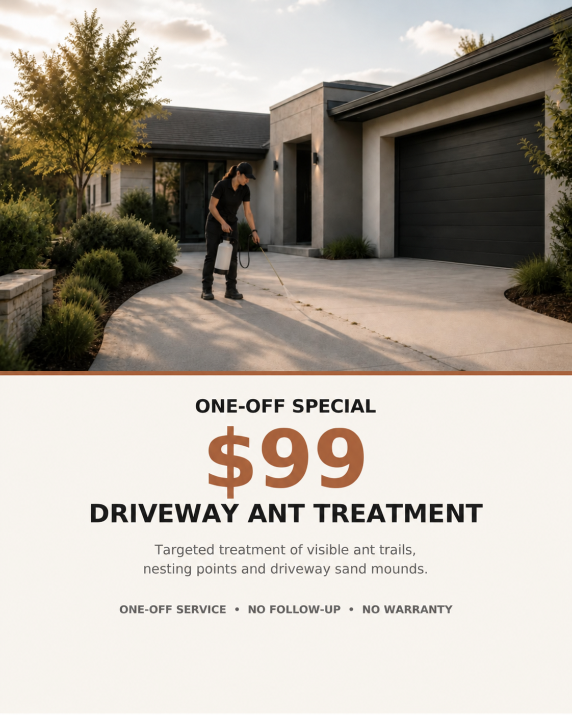 ONE-OFF ANT SPECIAL