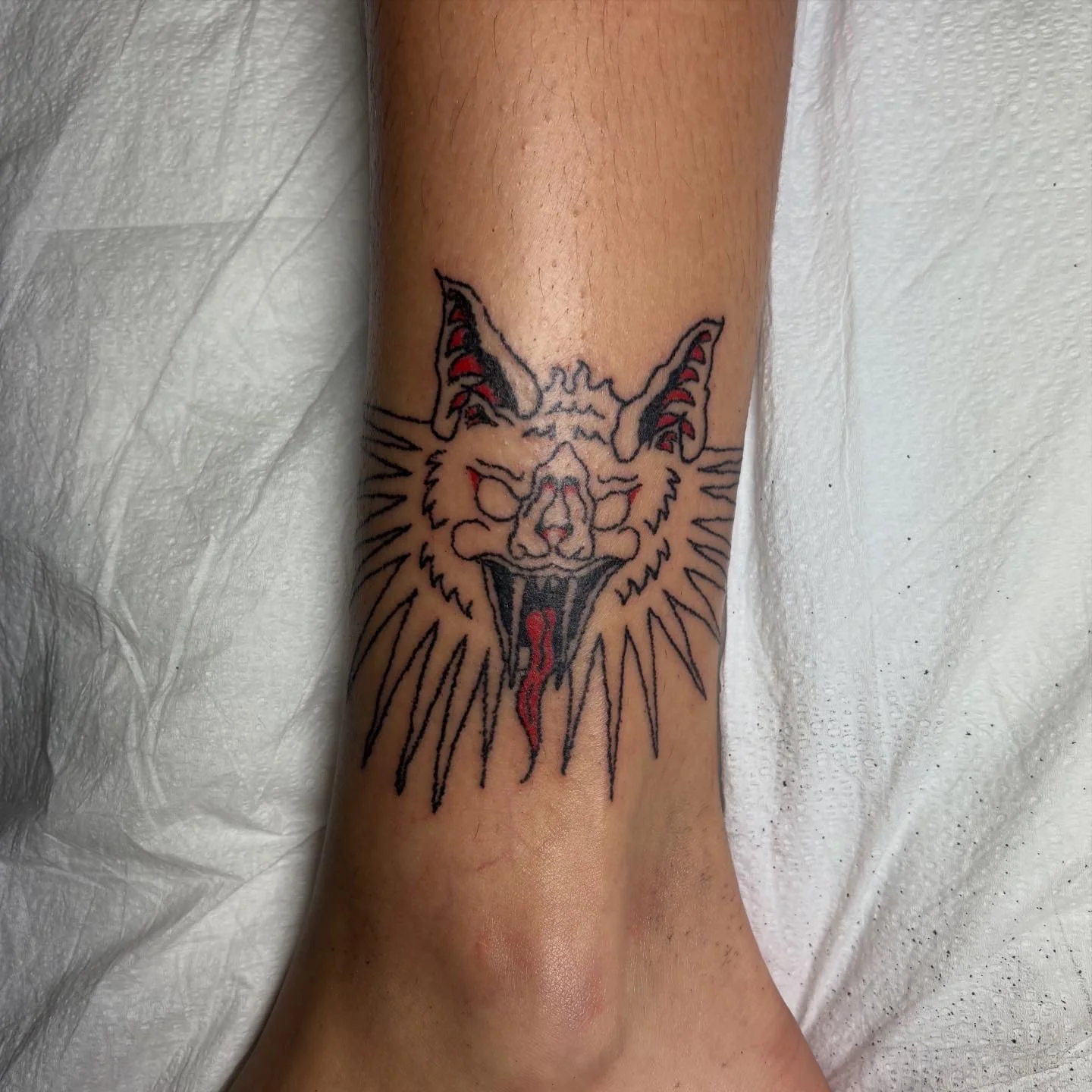 Lola_s Bat Tat.JPG