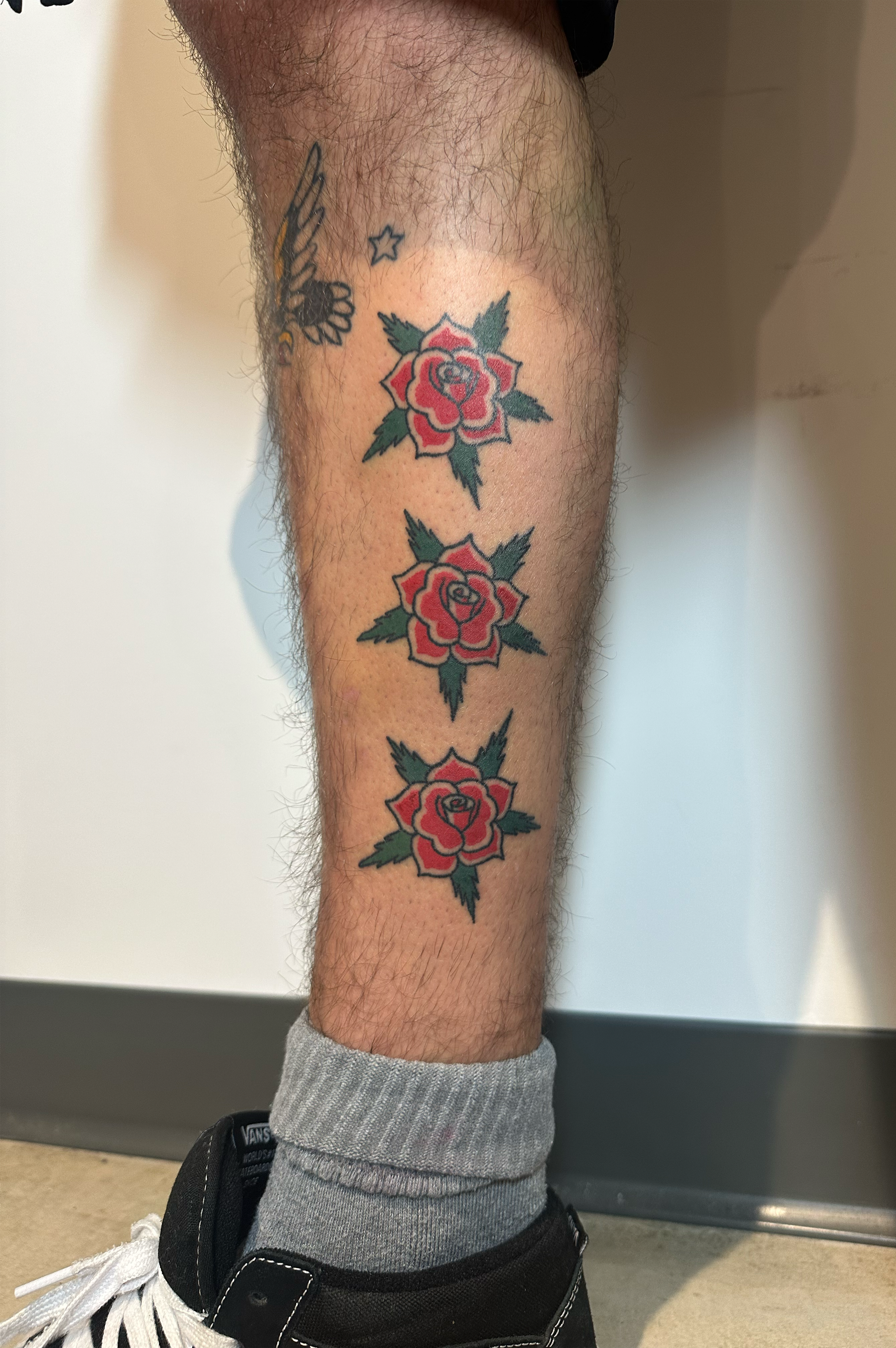 My roses.png