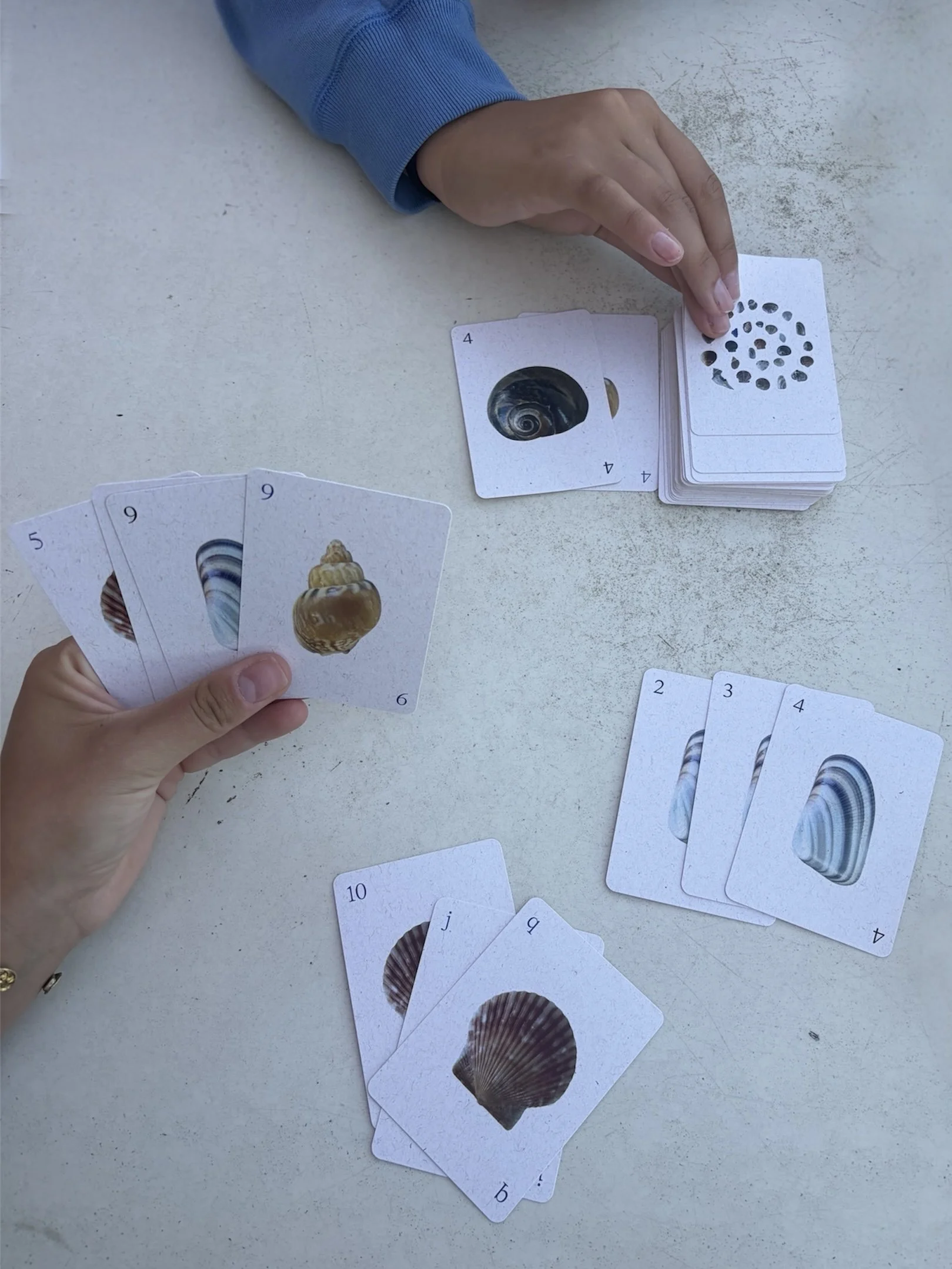 playing cards (pre-order)