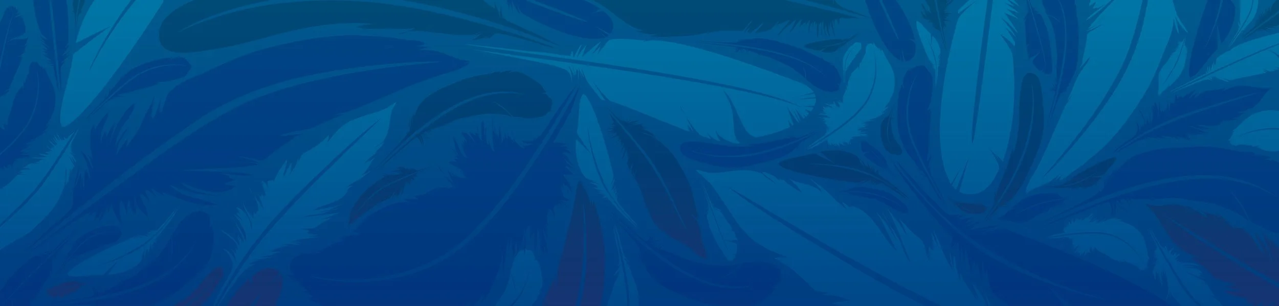 Hummingbird Group Services Background dark blue.jpg