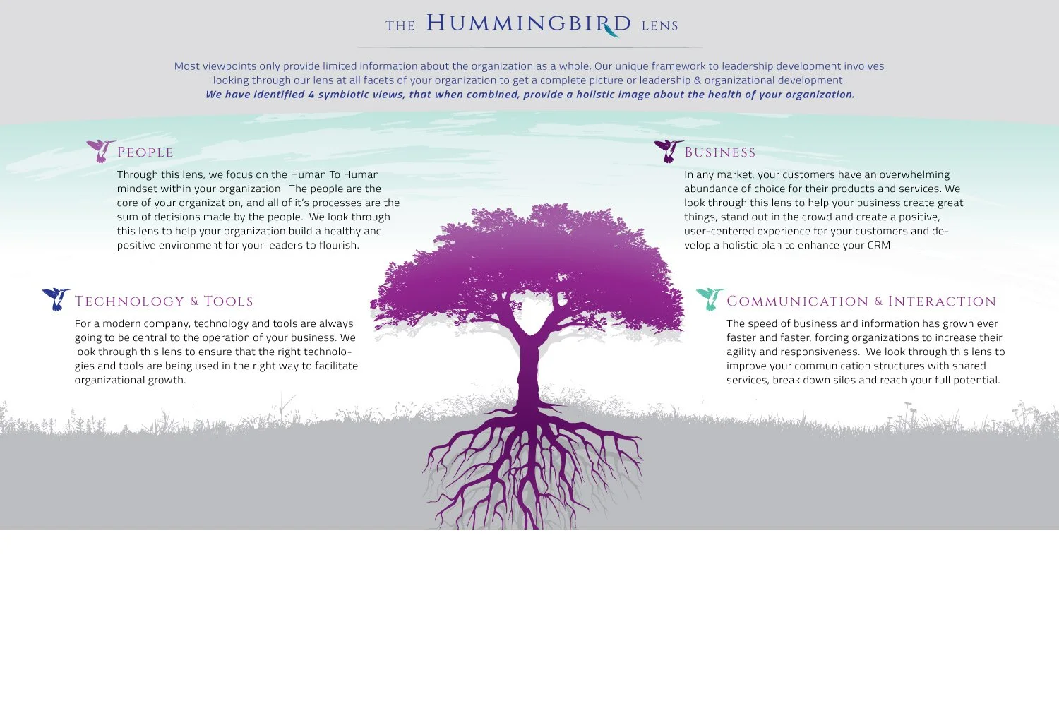 Hummingbird-Group-Infographic.jpg