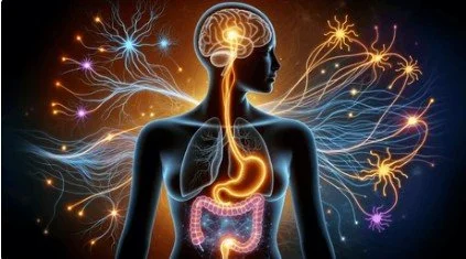 Integrated brain-body care at Jamieson Health Center