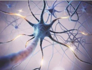 brain mapping & neuroplasticity at Jamieson Health Center