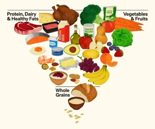 Why nutrition matters - FOOD PYRAMID 2026