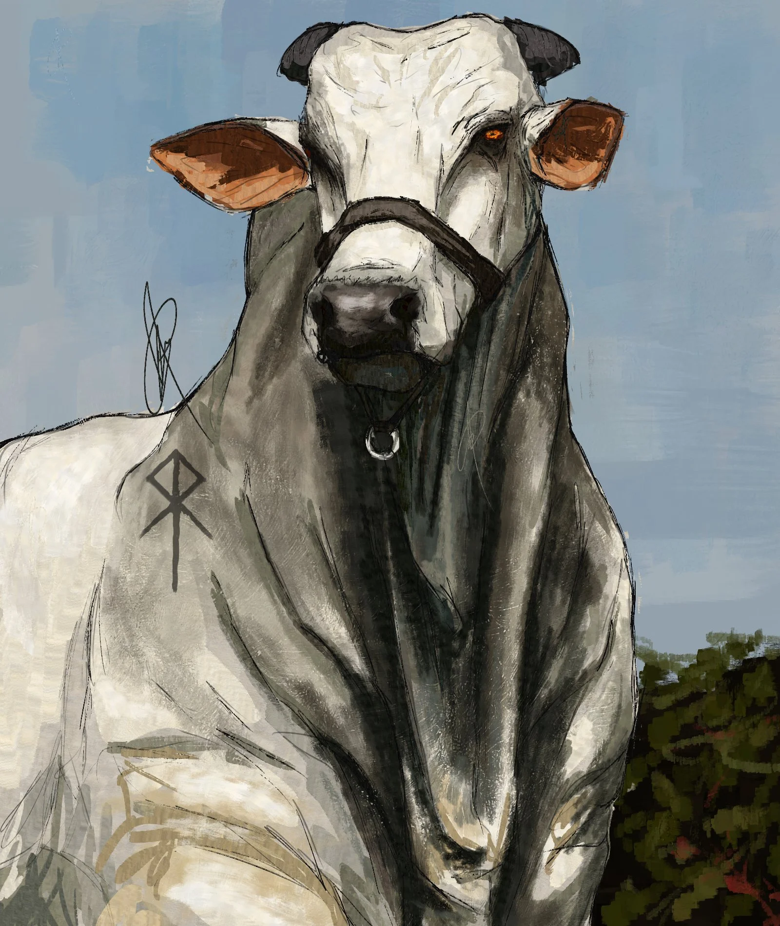 Cow.jpg