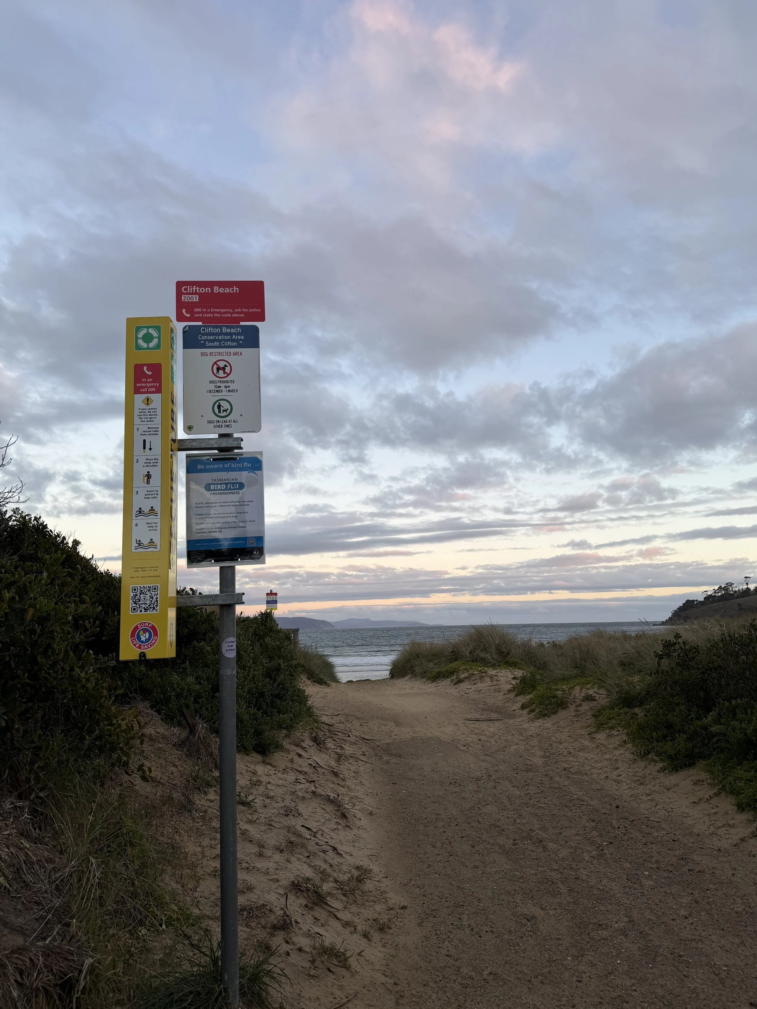A yellow sign with black text reading 'RESCUE TUBE' is mounted on a metal post on a beach. The background features a shoreline with gentle waves, a cliff covered in greenery, and a partly cloudy sky.