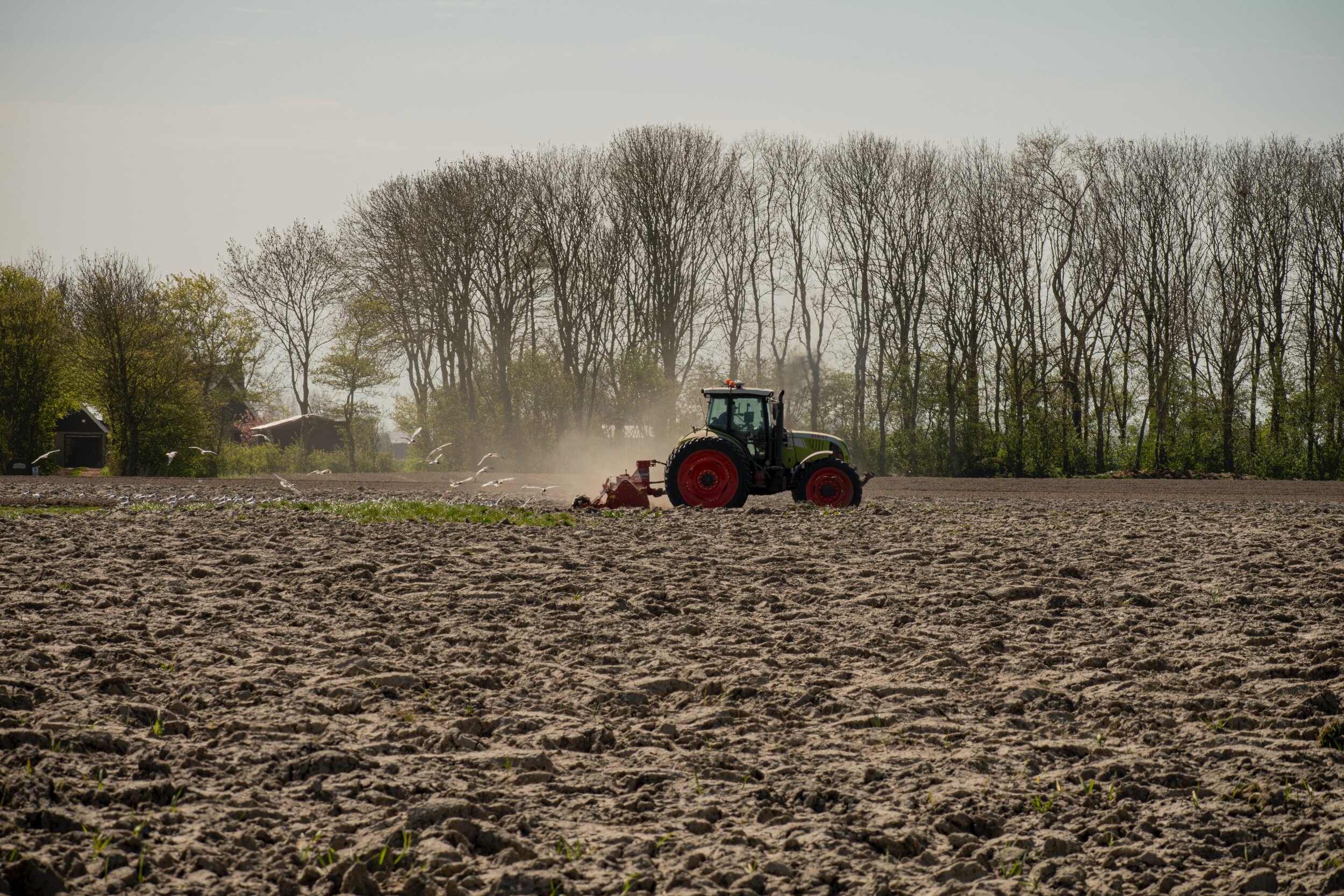 Breaking Up Unplowed Ground: Clarifying Values