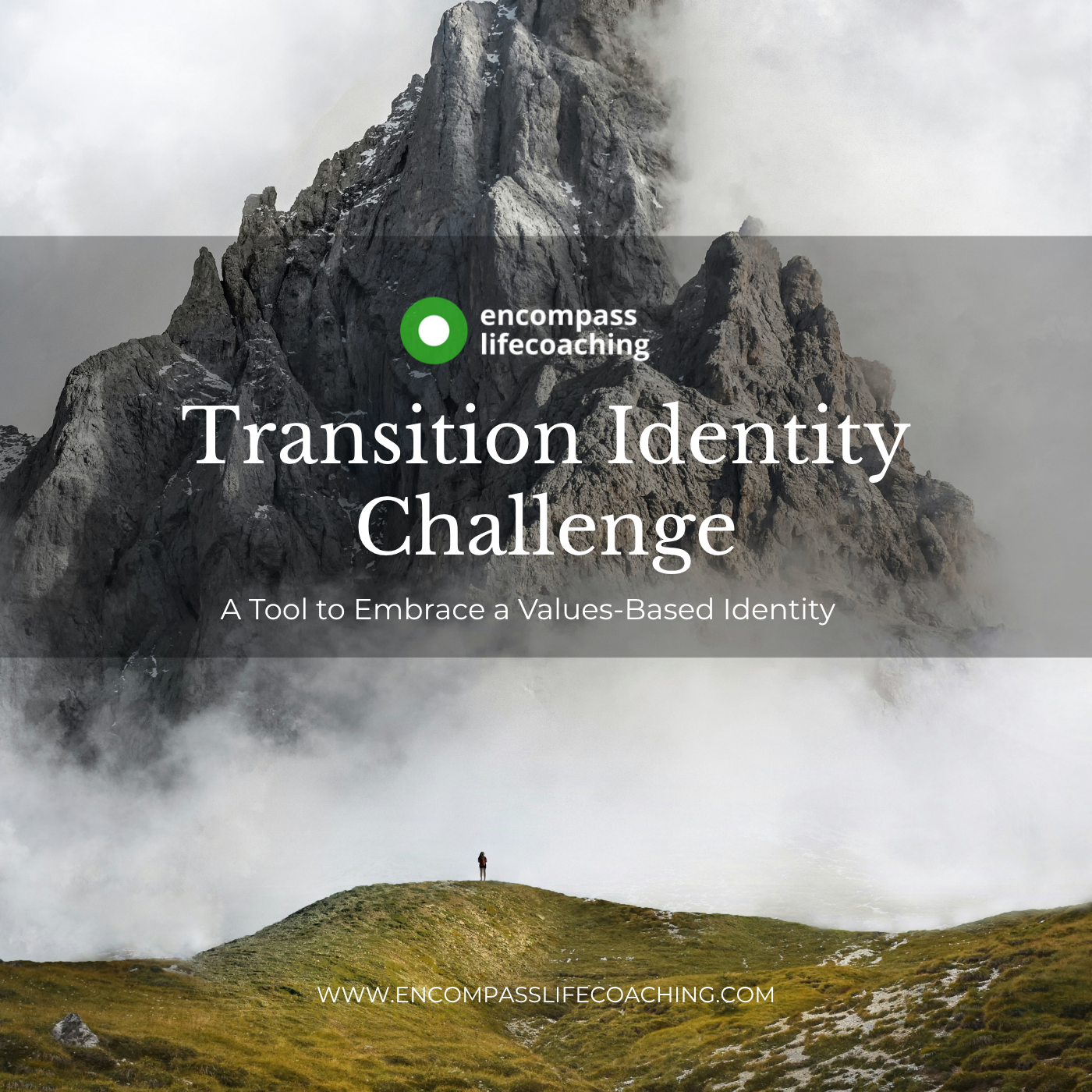 Transition Identity Challenge - A Tool to Embrace a Values-Based Identity