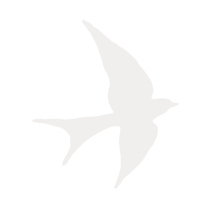 White silhouette of a bird in flight against a transparent background.