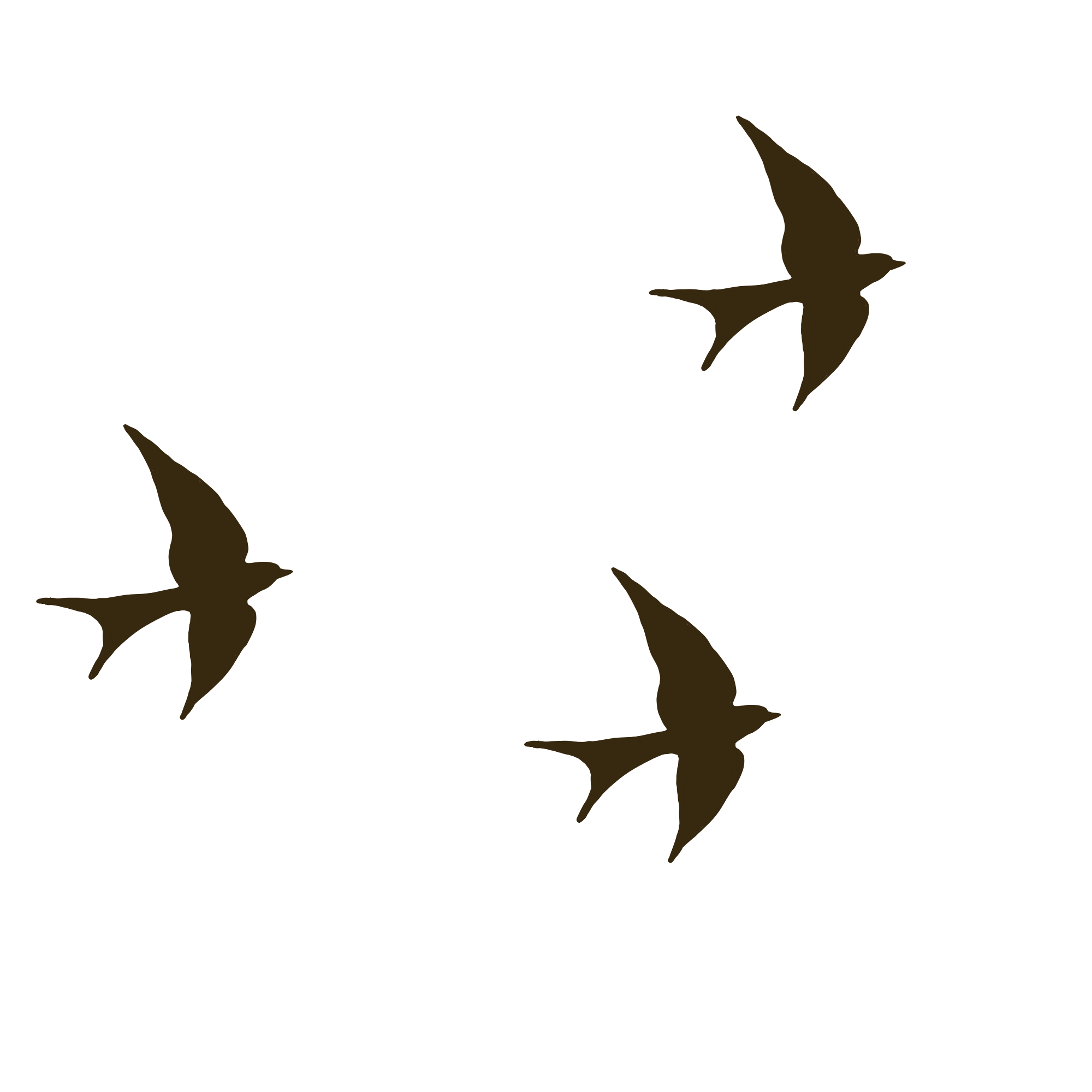Silhouette of a bird in flight with outstretched wings, dark against a black background.