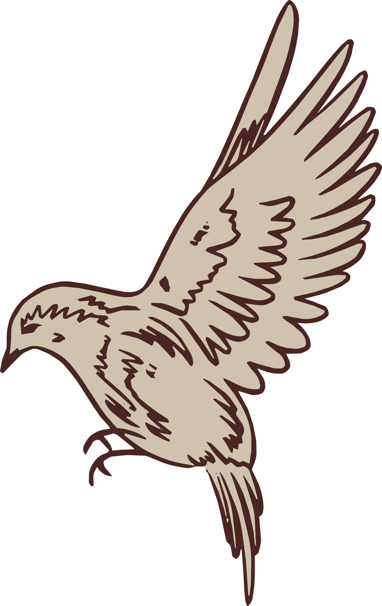 Ivory Finch Creative