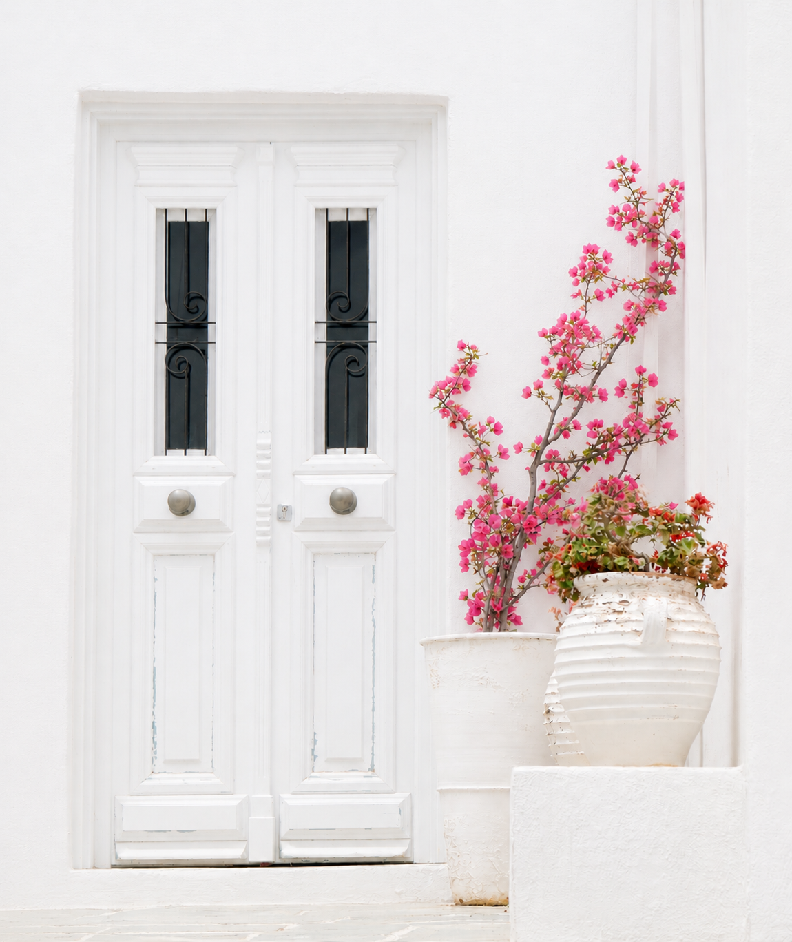 White door with two black glass panels and decorative trim, next to a large white pot with pink flowering plant.