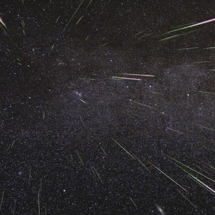 Catch the Falling Stars!