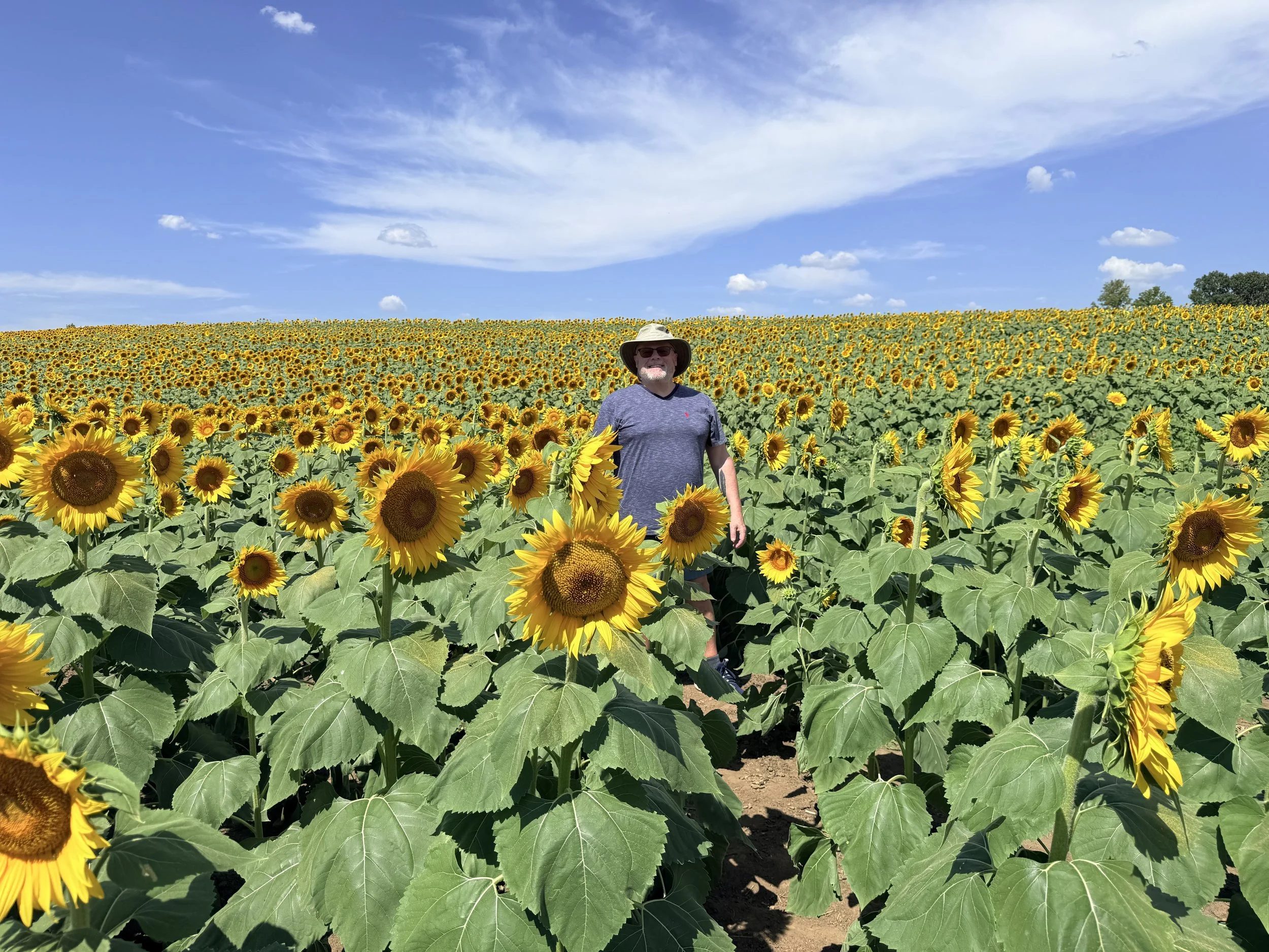 I’m a Sunflower Boy