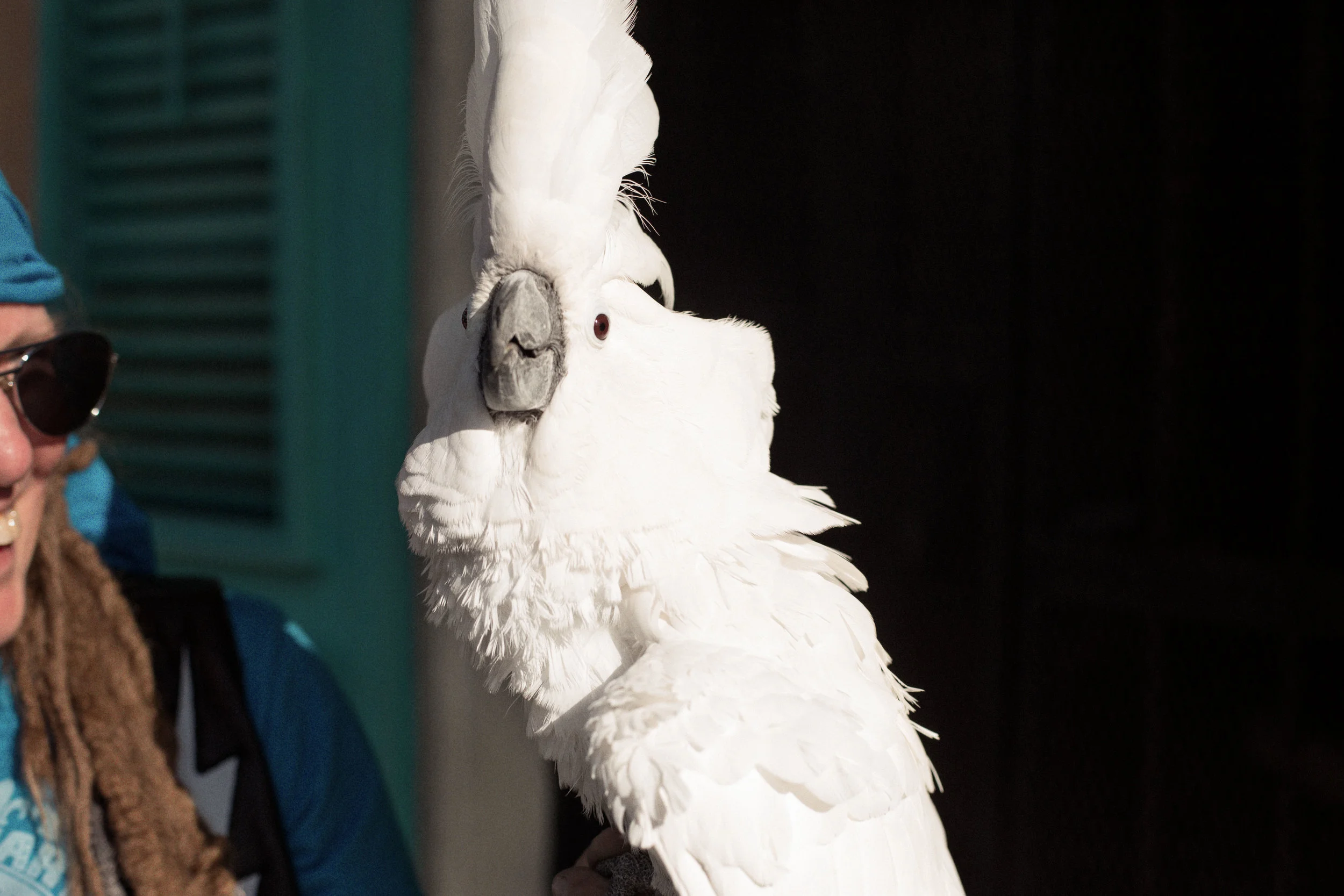 NOLA_2014-553.jpg