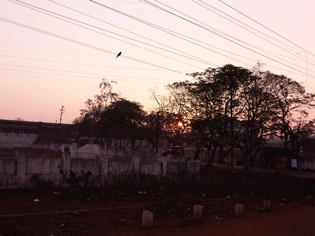 _K8T2719.jpg