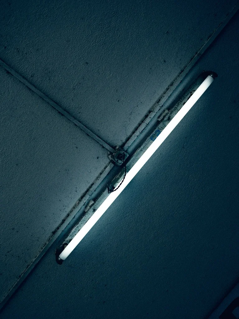 _K8T2466.jpg