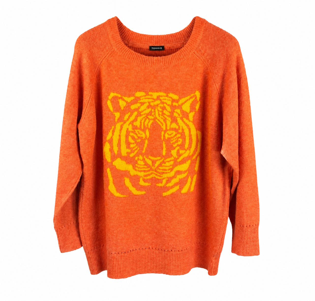 Torrid Pullover Sweater
