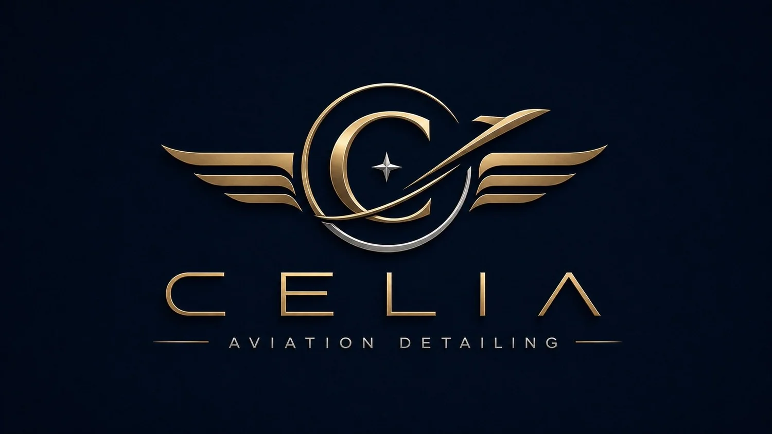 Celia Aviation Detailing