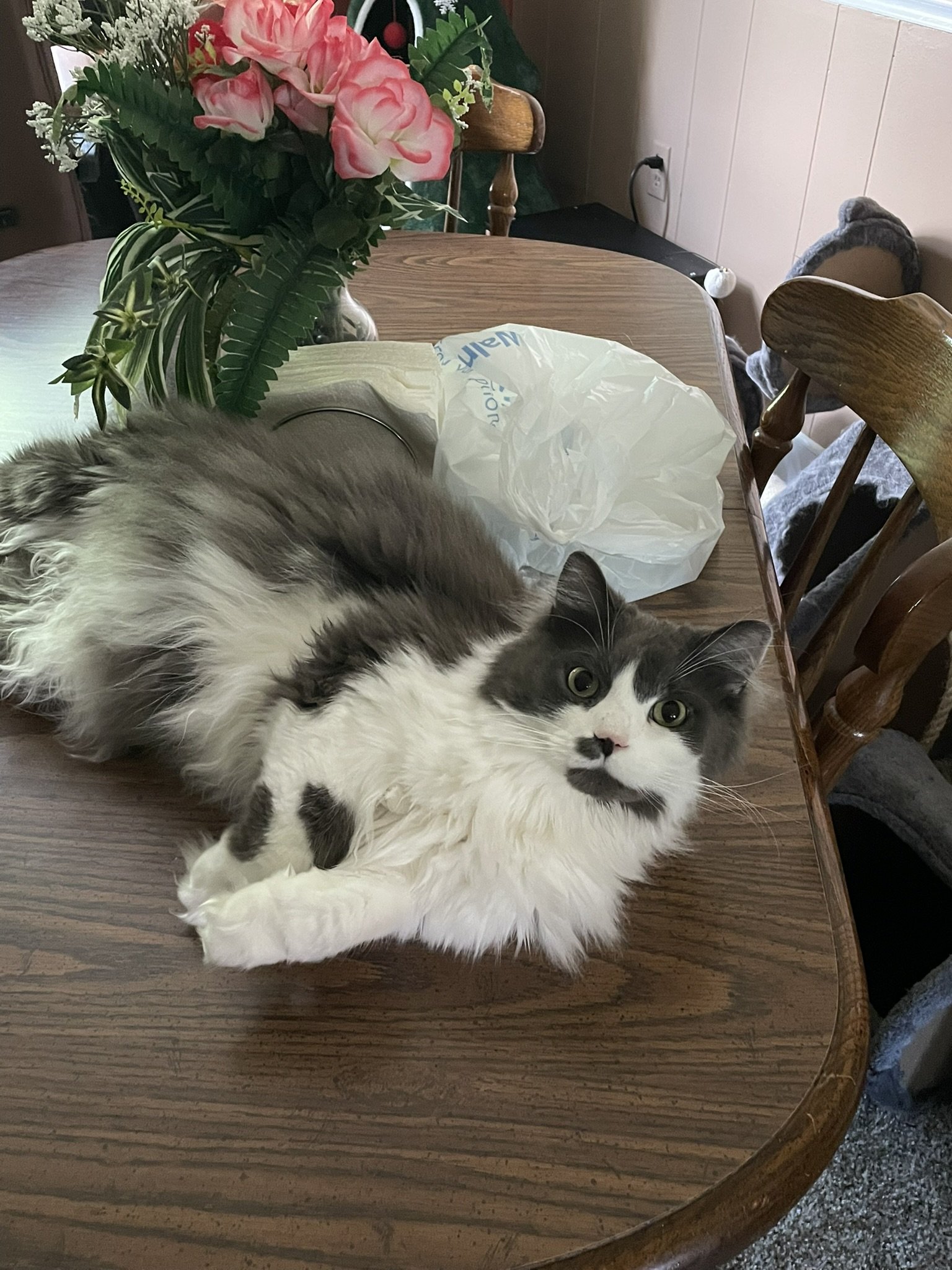 IMG_3368.JPEG