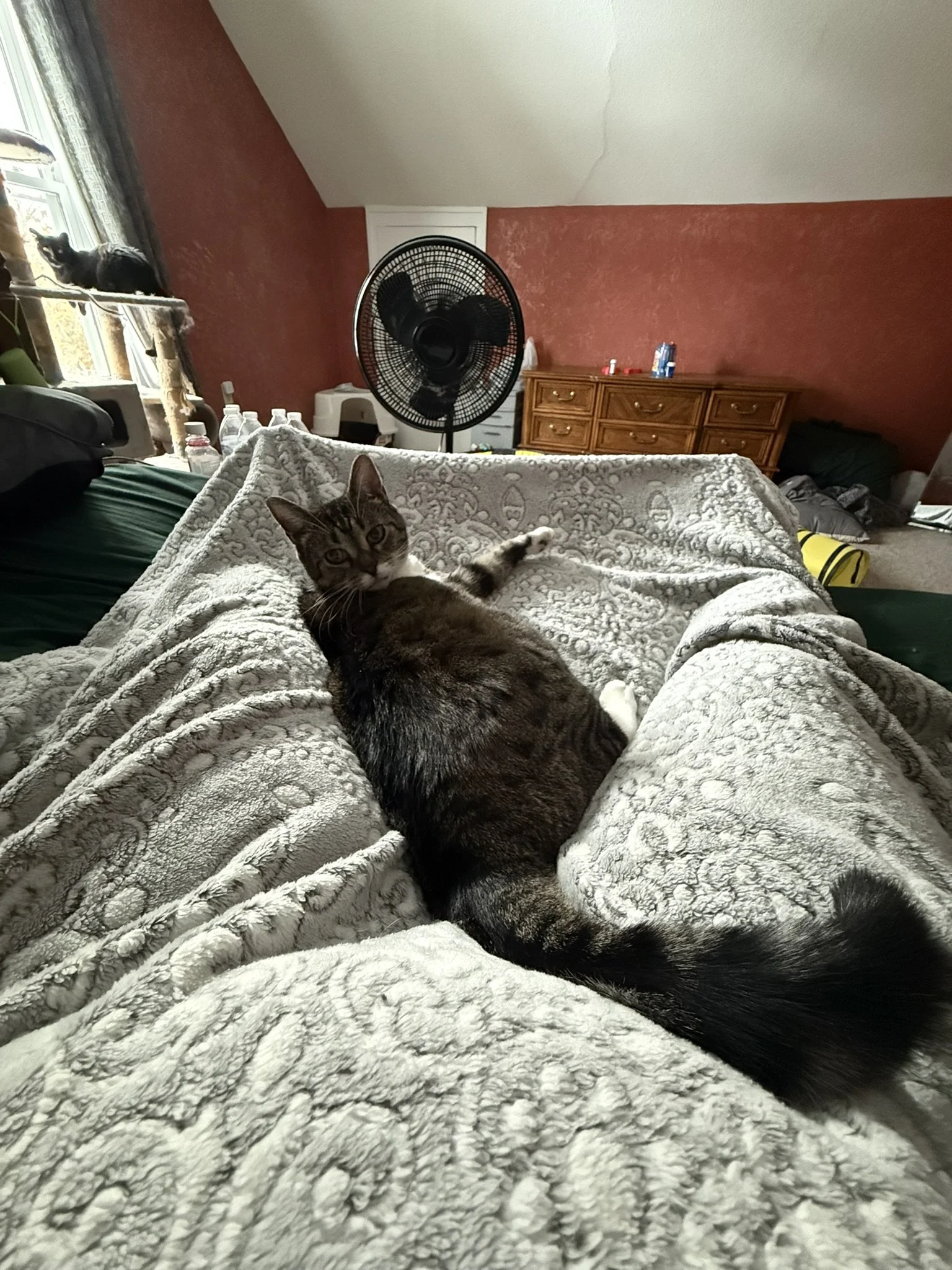 IMG_1984.JPEG