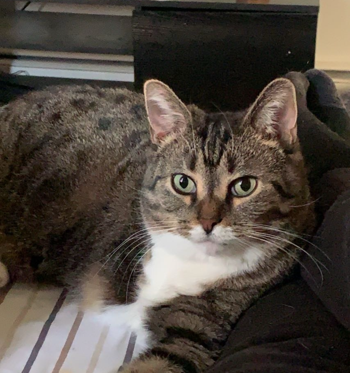 Bonnie