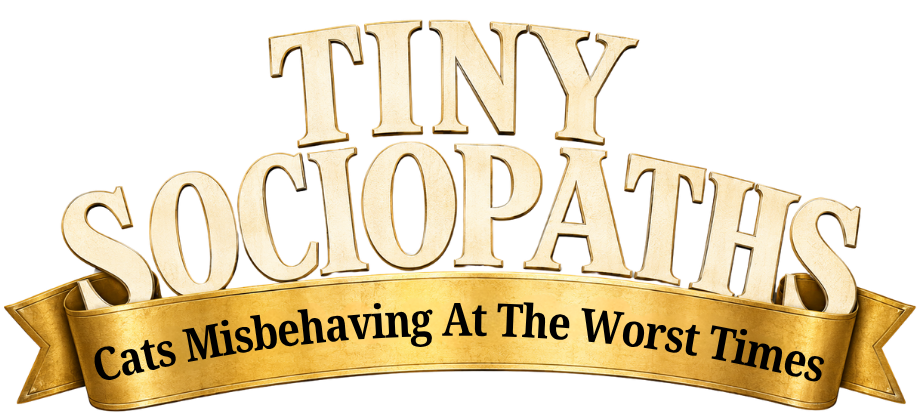 Title text with the words "Tiny Sociopaths" in large, 3D letters and a gold ribbon banner below that reads "Cats Misbehaving At The Worst Times."