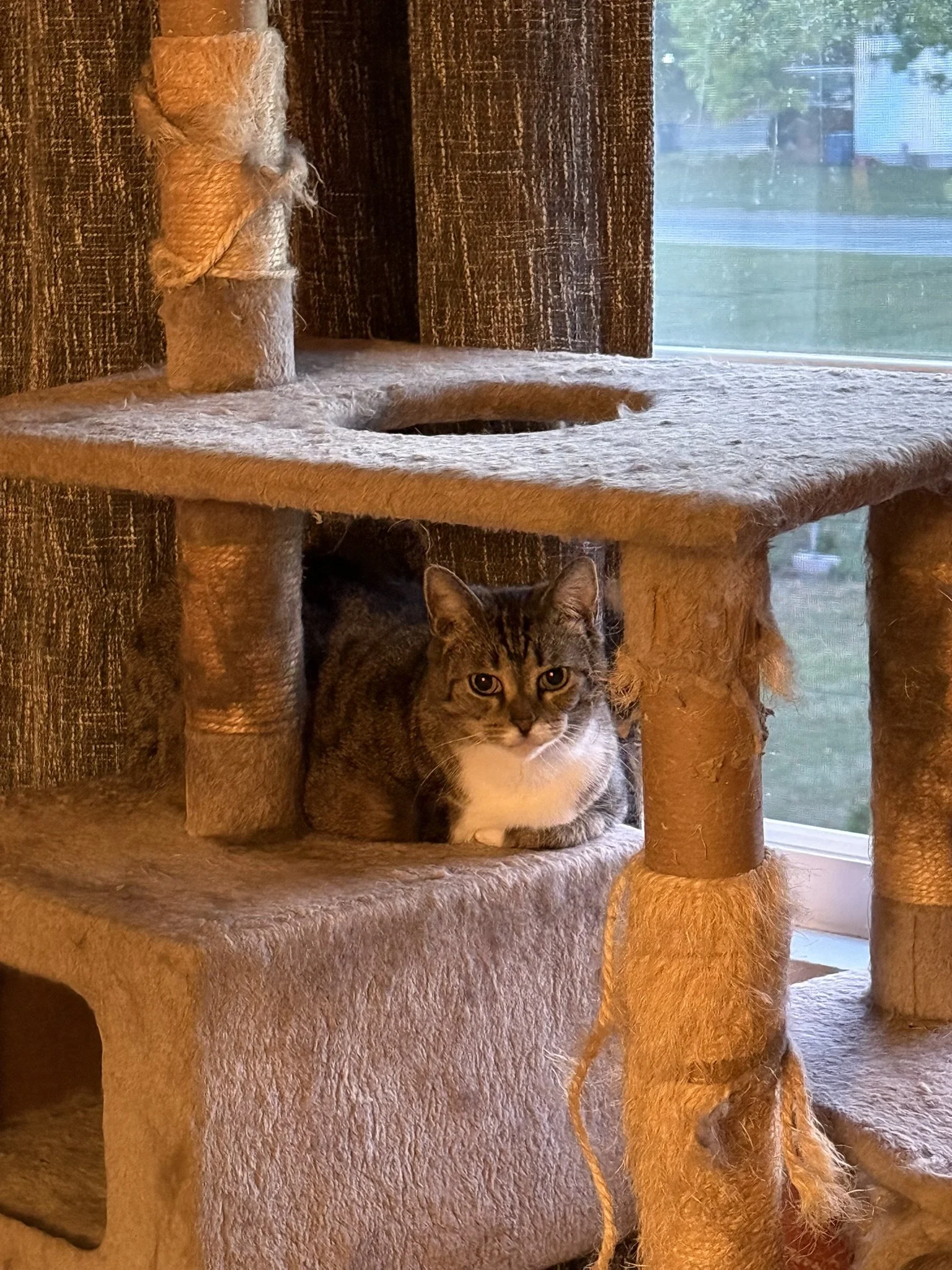 IMG_0999.JPEG