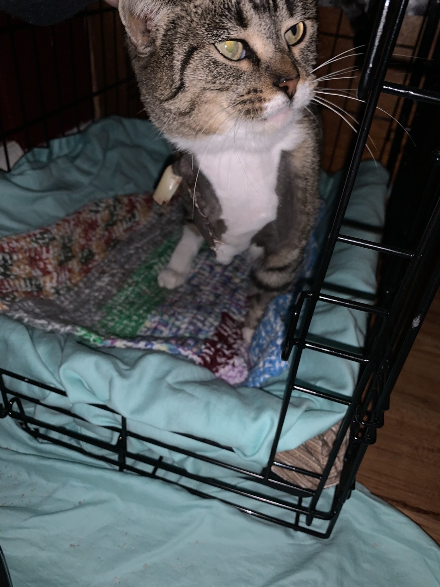 IMG_6925.JPEG