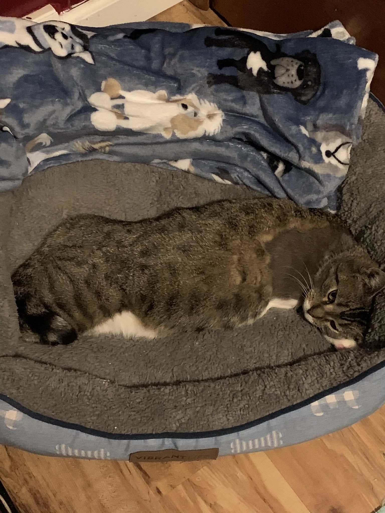 IMG_7194.JPEG