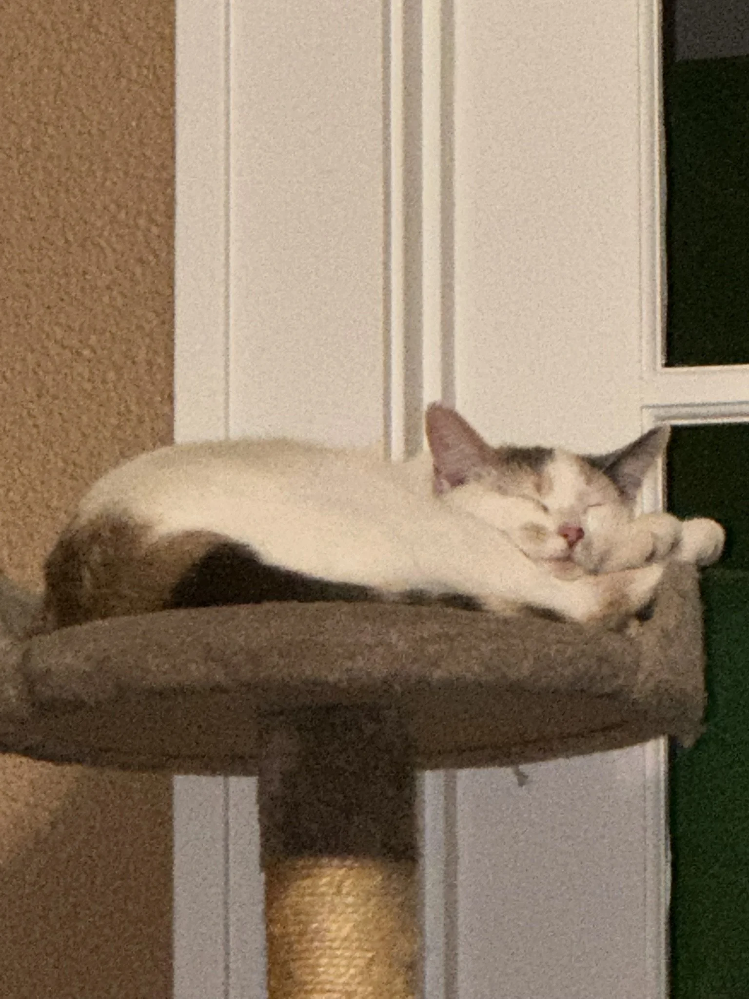 IMG_3583.JPEG