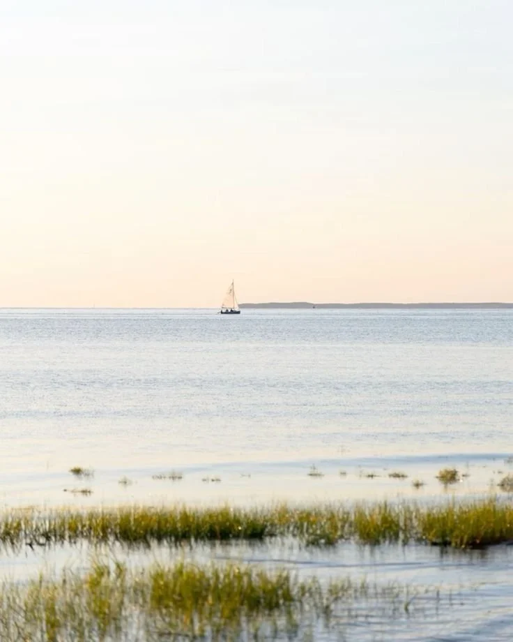 A sailboat on calm water near shore with grass in foreground and distant land on the horizon during a clear day.