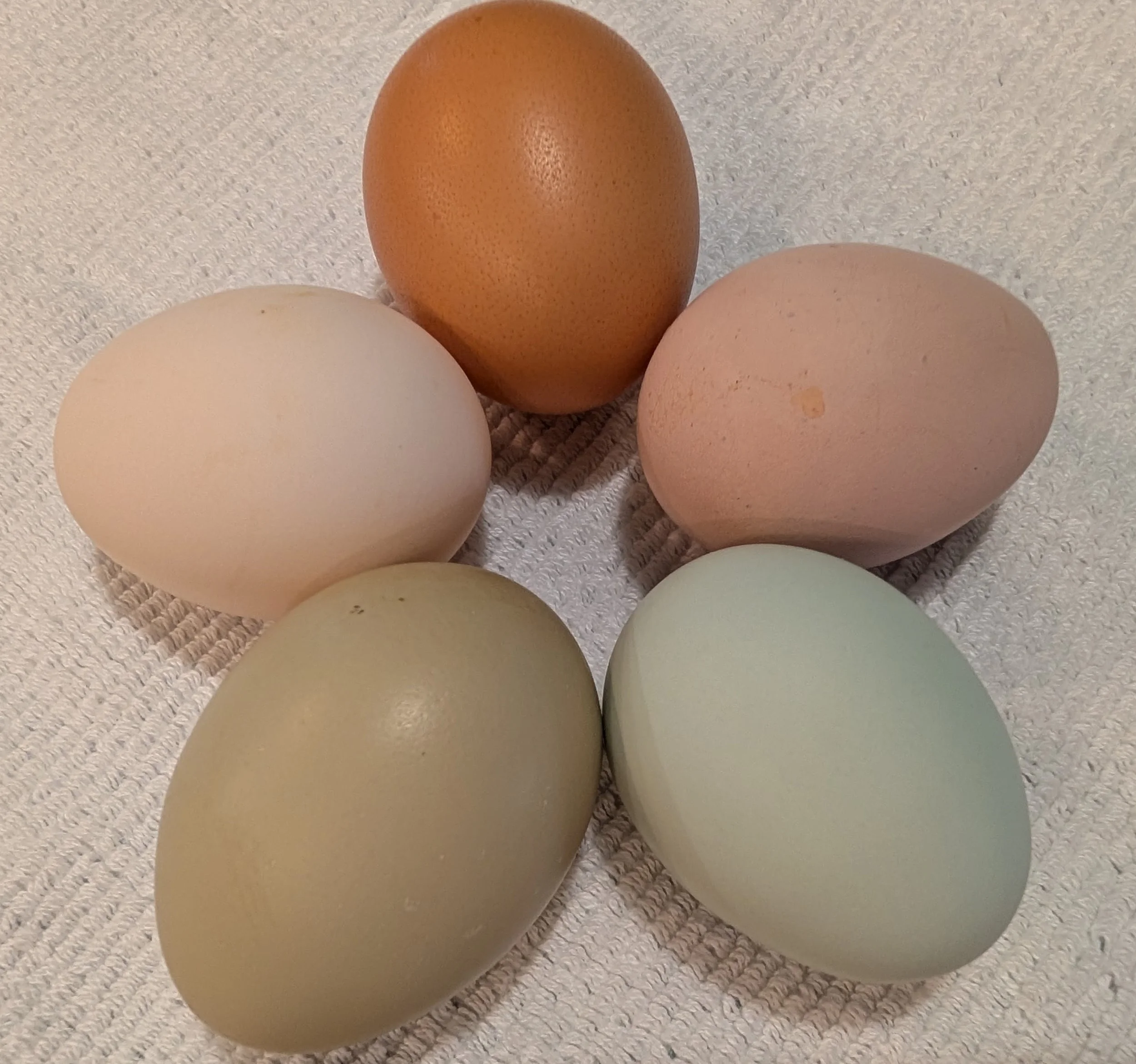 eggs3.jpg