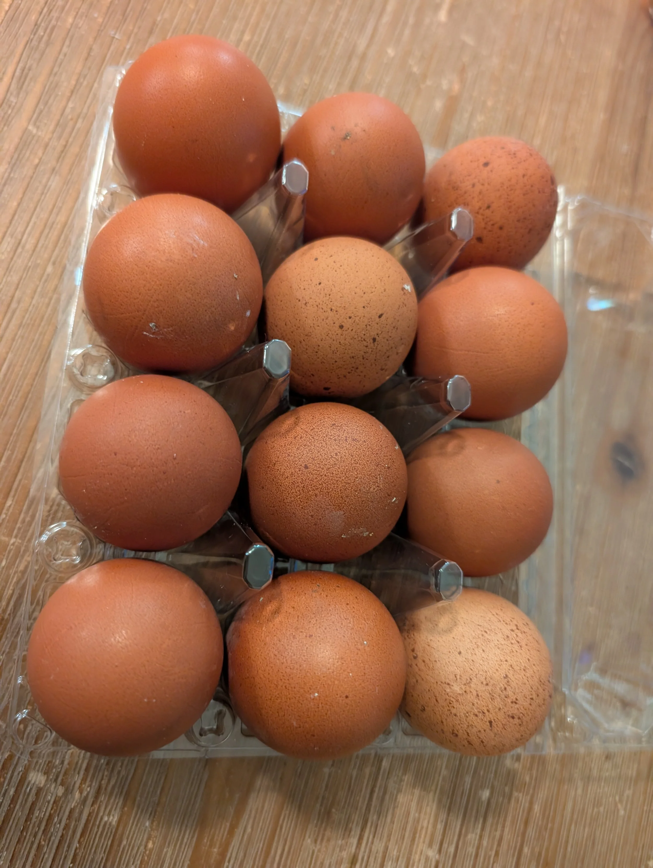eggs2.jpg