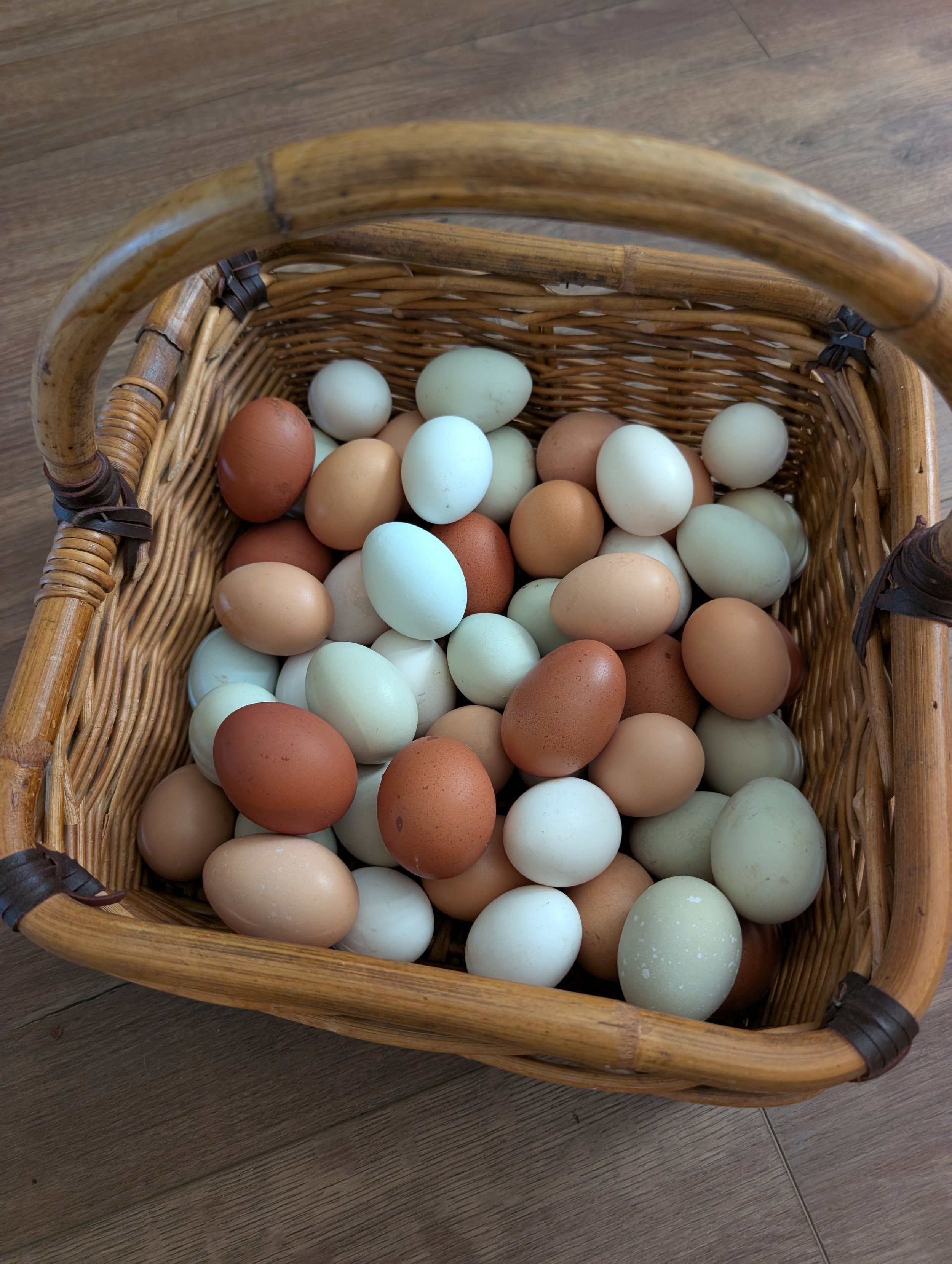 Fresh Eating Eggs