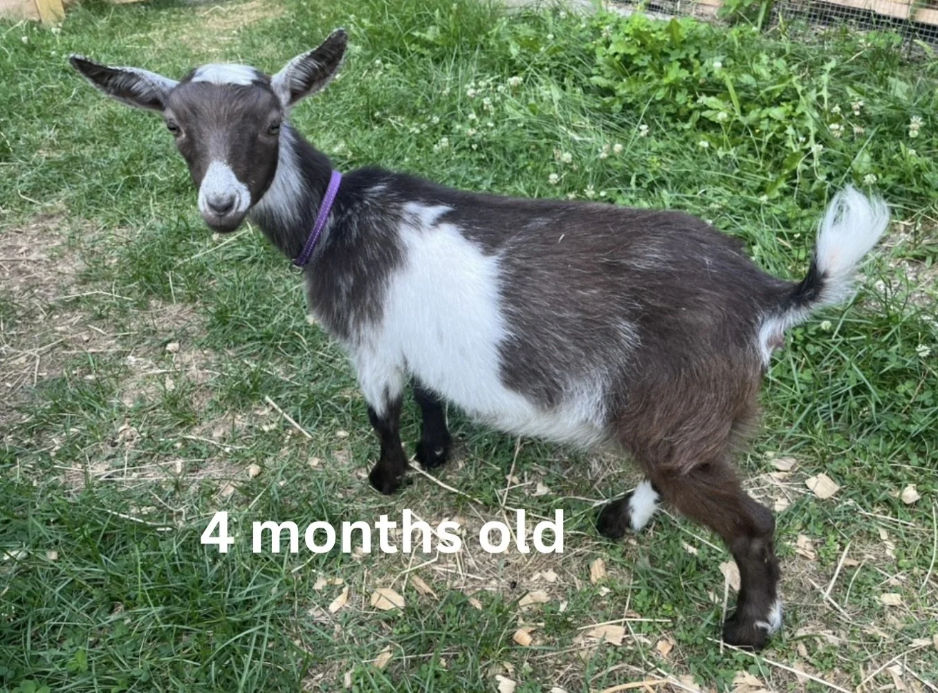 23.jpeg
