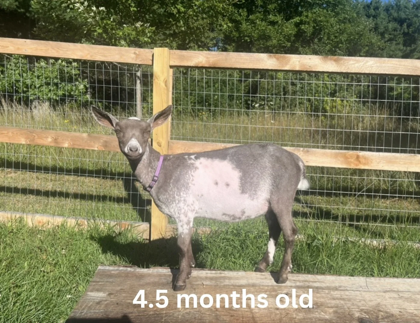 25.jpeg