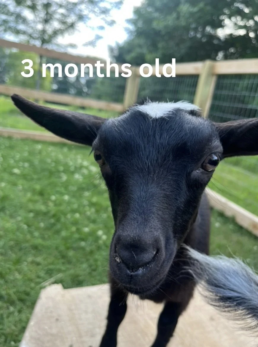 14.jpeg