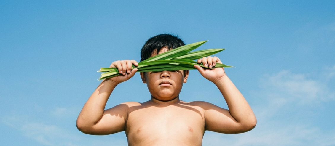 A young boy holding green leaves in front of his eyes, standing against a blue sky.
