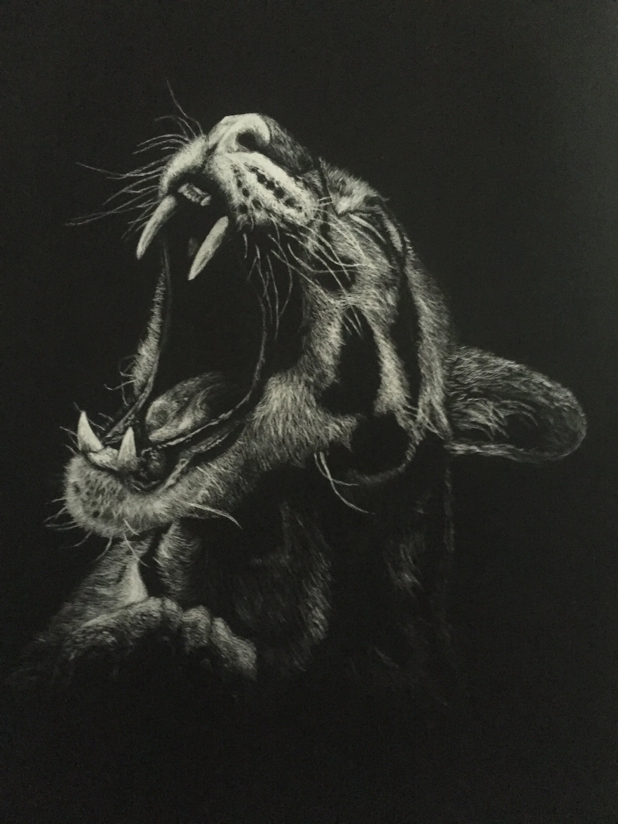 Big Cat - Print