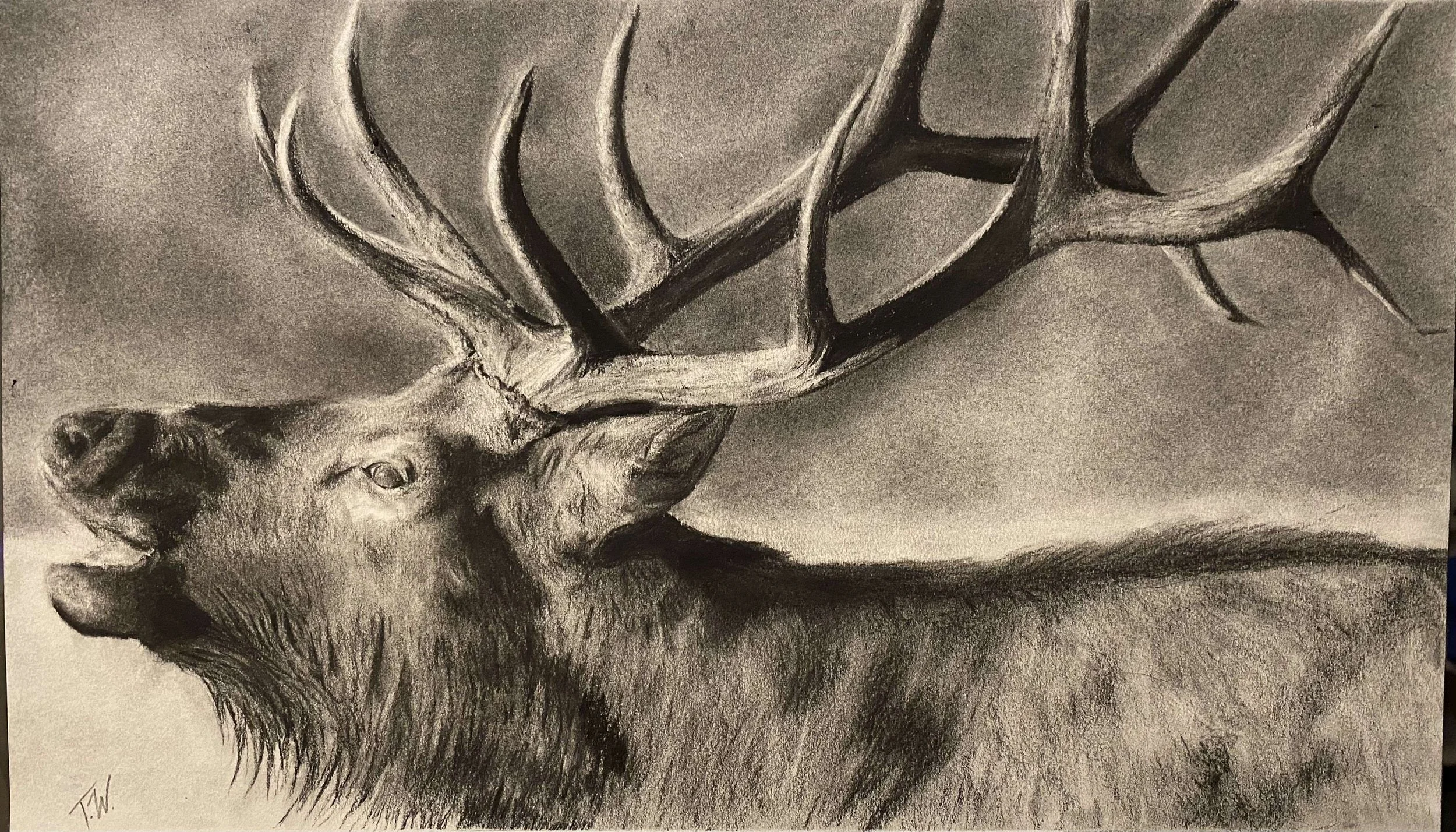 The Sentinel - Print