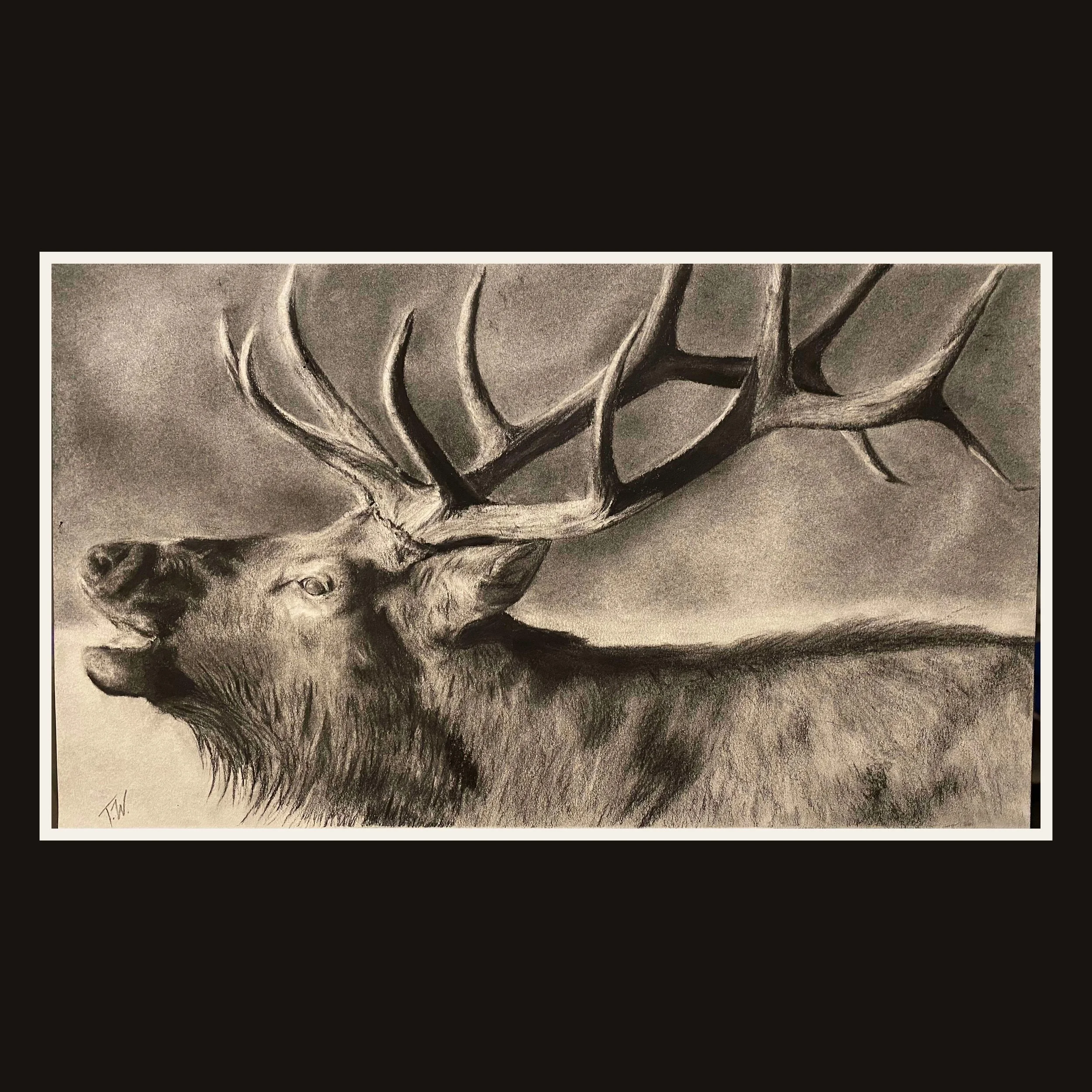 The Sentinel - Print