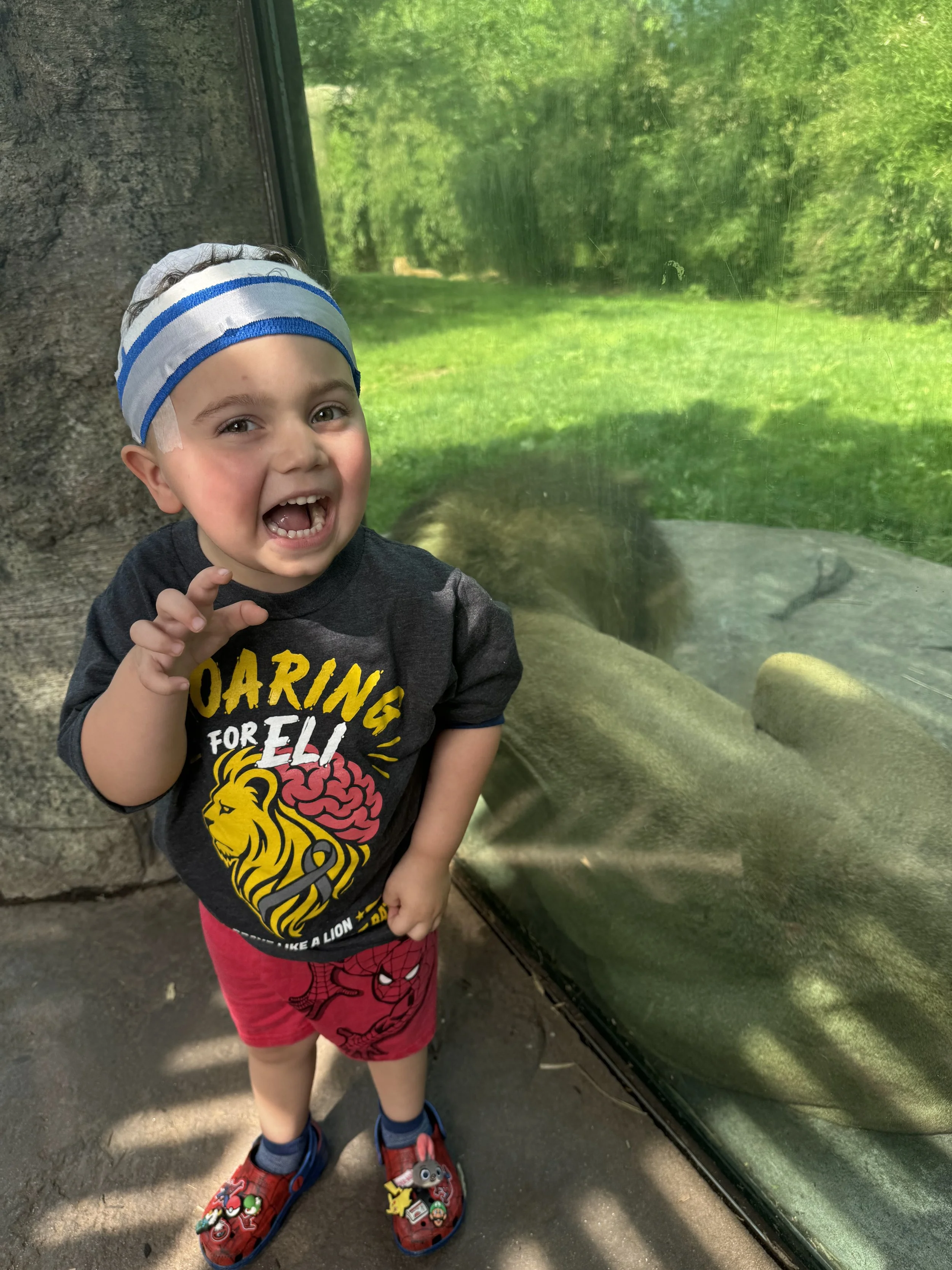 Eli post surgery checking out his favorite animal